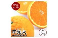 鈴切農園 不知火 しらぬい 5kg～6kg