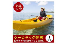シーカヤック体験 1名様