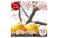 婆娑羅農産 ニューサマーオレンジ 7.5kg