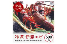 冷凍伊勢海老 500g
