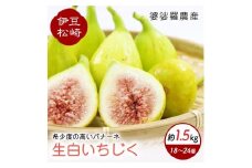 婆娑羅農産 生白いちじく バナーネ　約1.5kg