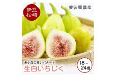 婆娑羅農産 生白いちじく バナーネ　