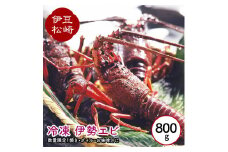 冷凍伊勢海老 800g
