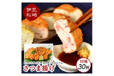さつまあげ はやま ミックスセット2