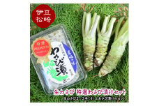 生わさび特選わさび漬けセット①