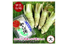 生わさび特選わさび漬けセット②