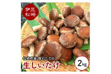 森ペンしいたけ 2kg
