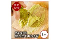 伊豆の生わさび 1本