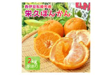 2025年3月上旬～中旬発送予定 栄久ぽんかん 2kg