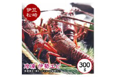 冷凍伊勢海老 300g