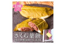 梅月園 さくら葉餅 12個入