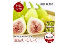 婆娑羅農産 生白いちじく バナーネ　2箱セット 約3kg