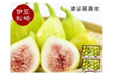 婆娑羅農産 生白いちじく バナーネ　2箱セット