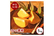 婆娑羅農産 四つ溝柿 5kg