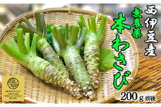 「世界農業遺産認定」 無農薬本わさび 無農薬 わさび 山葵 ワサビ 薬味 刺身 そば 蕎麦