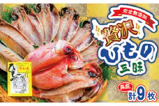 海産屋の「贅沢ひもの三昧」 真あじ 鯵 真さば 鯖 金目鯛 きんめ 干物 冷凍 西伊豆 伊豆 ギフト お歳暮 お中元