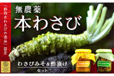 藤井わさび園の「無農薬本わさび・わさびみそ・わさびの茎二杯酢漬セット」 山葵 ワサビ 無添加 味噌 ごはんのお供 酒のつまみ 西伊豆 静岡