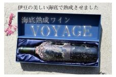 海底熟成ワインVOYAGE【シャトー・モン・ペラ　白　2020】 ワイン 白 酒 果実酒 ギフト お祝 贈答用 お中元 お歳暮