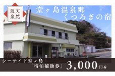 シーサイド堂ヶ島　宿泊補助券　（3,000円分） / 静岡 伊豆 堂ヶ島 旅行券 旅行 宿泊 国内旅行 観光 宿泊補助券 チケット 天然記念物 天窓洞 海