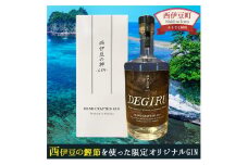 西伊豆の神 -GIN- DEGIRU 酒 ジン 鰹節 かつお節 わさび 椎茸 しいたけ 海苔 のり ギフト