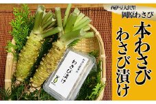 【世界農業遺産認定】西伊豆町の本わさび・わさびづけセット（岡原わさび） 西伊豆町 天城山 清流 わさび 本わさび わさび漬け 無添加 お刺身 さしみ ステーキ 薬味 冷蔵 西伊豆 伊豆 ギフト お歳暮 お中元