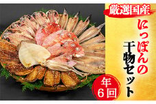 藤文の「にっぽんの干物セット定期便」（年６回）  あじ 鯵 金目鯛 いか イカ さば 鯖 真ほっけ かます カマス ひもの 一夜干し 定期便 冷凍 西伊豆 伊豆 ギフト お歳暮 お中元