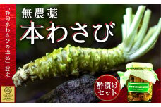 藤井わさび園の「無農薬本わさび・わさびの茎二杯酢漬セット」 山葵 ワサビ 無添加 茎 酢漬け 薬味 西伊豆 静岡 選べる 「静岡水わさびの逸品」認定