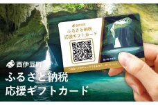 西伊豆町ふるさと応援ギフトカード（3,000ポイント分）