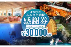【30,000円分】西伊豆町内の宿泊施設や飲食店で使用できる感謝券 西伊豆町ふるさと納税感謝券 西伊豆 伊豆 堂ヶ島 旅行 クーポン トラベル チケット 宿泊 宿泊券 旅行券 ホテル 旅館 人気 観光 温泉 食事 観る 遊ぶ 食べる 泊まる ギフト 贈答 プレゼン