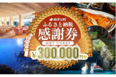 【300,000円分】西伊豆町内の宿泊施設や飲食店で使用できる感謝券 西伊豆町ふるさと納税感謝券 西伊豆 伊豆 堂ヶ島 旅行 クーポン トラベル チケット 宿泊 宿泊券 旅行券 ホテル 旅館 人気 観光 温泉 食事 観る 遊ぶ 食べる 泊まる ギフト 贈答 プレゼント