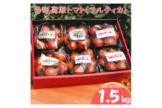 ＜フルーツトマト＞丹那高原トマト「彩(いろどり)」セット(フルティカ)【1375473】