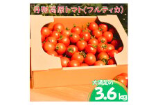 ＜フルーツトマト＞丹那高原トマト(フルティカ)「まいにちBOX」3600g入り【1375476】