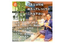 ＜薬用入浴剤＞伊豆函南畑毛の湯:畑毛温泉の成分そのままの「温泉の素」若竹の湯色10回分【1380547】