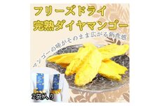 数量限定　フリーズドライ完熟ダイヤマンゴー 15g×2パック【1481510】
