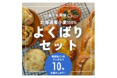 ＜ワケあり!＞北海道産小麦100%使用!無添加パンのよくばりセット (10個)【1513380】