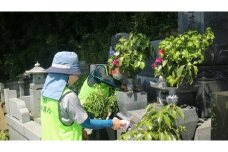 墓地清掃・墓石清掃（年１回）