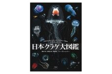 清水町ふるさと大使 海洋生物 写真家 峯水 亮 【日本クラゲ大図鑑】 図鑑 海 写真集