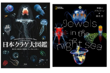 清水町ふるさと大使（清水町在住） 海洋生物写真家　峯水亮氏　『日本クラゲ大図鑑』＆『Jewelsin the night sea　神秘のプランクトン』　２冊セット