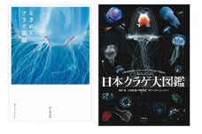清水町ふるさと大使（清水町在住） 海洋生物写真家　峯水亮氏　『ときめくクラゲ図鑑』＆『日本クラゲ大図鑑』　２冊セット