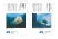 海洋生物写真家　峯水亮氏　『ときめくクラゲ図鑑』