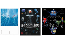 清水町ふるさと大使 清水町在住  海洋生物 写真家 峯水 亮  『ときめくクラゲ図鑑』＆『日本クラゲ大図鑑』＆『Jewelsin the night sea　神秘のプランクトン』　３冊セット　図鑑 写真集 海
