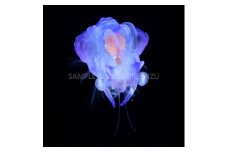 【１点のみ特別価格】清水町ふるさと大使　海洋生物写真家　峯水亮氏による　作品パネル　ミツトゲチヒロエビの幼生