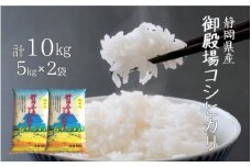 米 コシヒカリ 10kg  (5kg×2袋)  御殿場産 令和６年産  【精米 お米 おこめ こめ ご飯 ごはん コメ すぐ届く 】