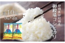 米 コシヒカリ 10kg  (5kg×2袋)  御殿場産 令和６年産  【精米 お米 おこめ こめ ご飯 ごはん コメ すぐ届く 】
