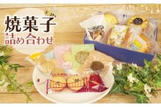 焼き菓子 詰め合わせ 計11個 ドーナツ クッキー マドレーヌ ココナッツ オートミール みしま甘藷 サツマイモ ゴマ 紅茶 チョコレート ミルク 長泉産 大和芋 いも さつまいも 国産小麦 安心安全 無添加 ヘルシー 焼き どーなつ 詰合せ おやつ 贈答用 プレゼント ギフト 冷蔵 静岡県 長泉町 お菓子工房HONEY