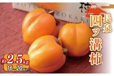 【先行予約】四ッ溝柿  約2.5kg 数量限定 2025年発送 柿 かき フルーツ 令和7年産  果物 スイーツ 予約受付  11月下旬から順次発送 常温 お歳暮 ギフト 贈答用 プレゼント 取り寄せ 静岡県 長泉町