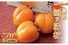 【先行予約】四ッ溝柿  約5kg 数量限定 2025年発送 柿 かき フルーツ 令和7年産  果物 スイーツ 予約受付  11月上旬から順次発送 冷蔵 お歳暮 ギフト 贈答用 プレゼント 取り寄せ 静岡県 長泉町