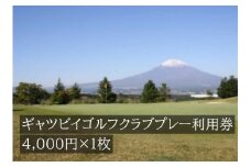C19ギャツビイゴルフクラブプレー利用券　１枚
