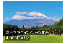 C26富士平原Ｇ・Ｃプレー利用券　１枚