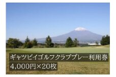 Y1ギャツビイゴルフクラブプレー割引券　20枚